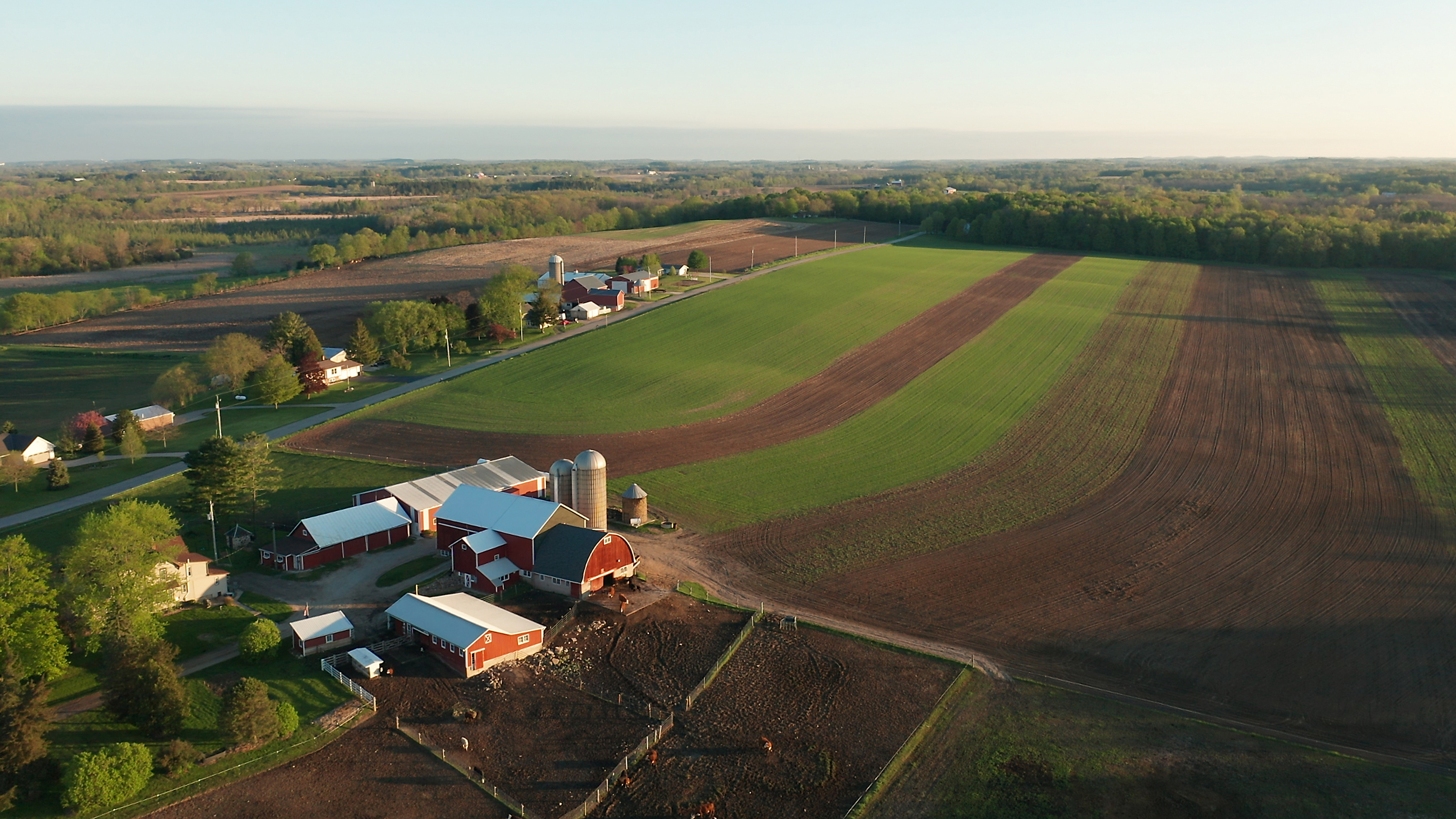 Aerial view of Midwest farm with red barns and open fields