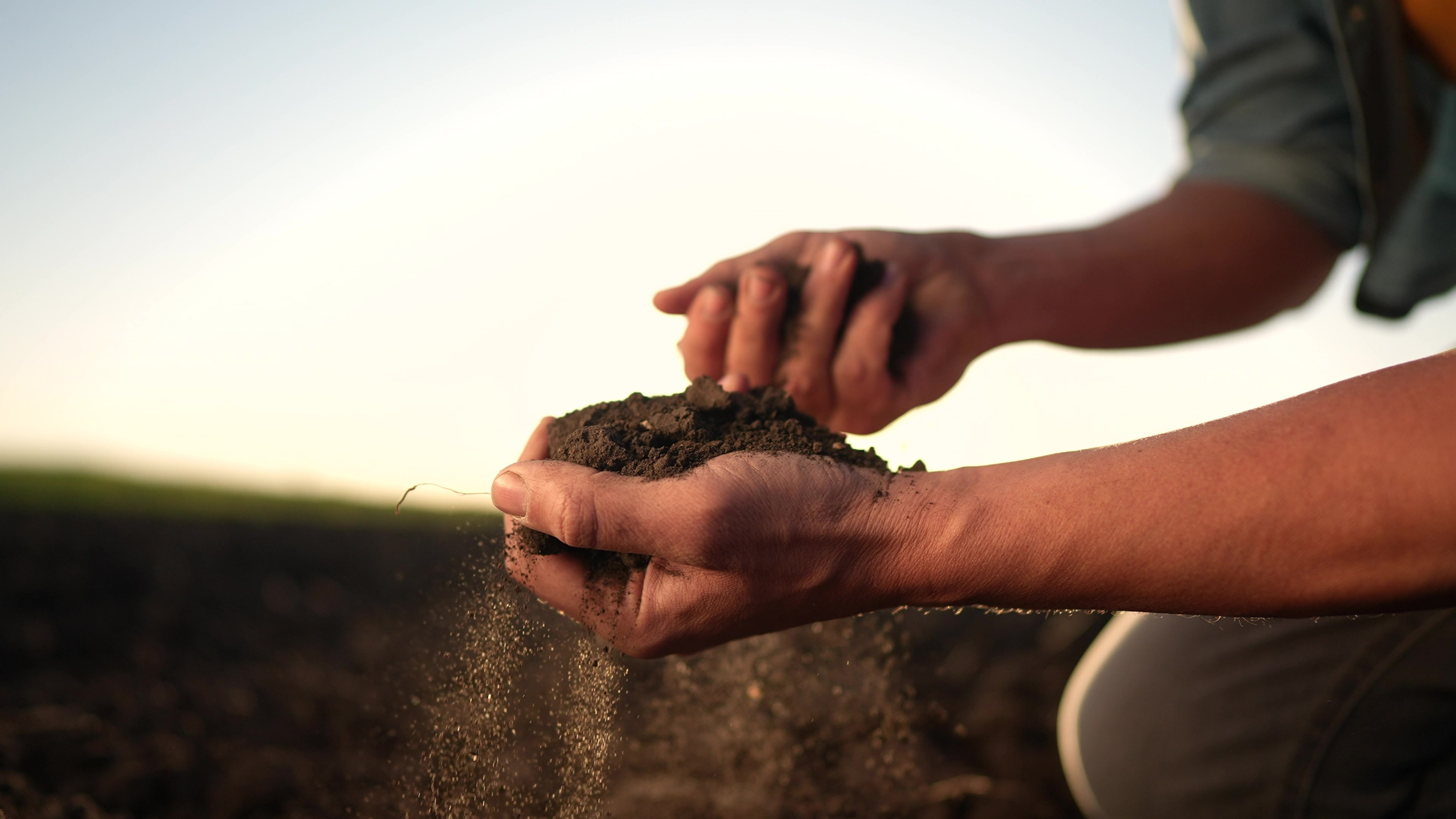 Hands holding soil in field at golden hour