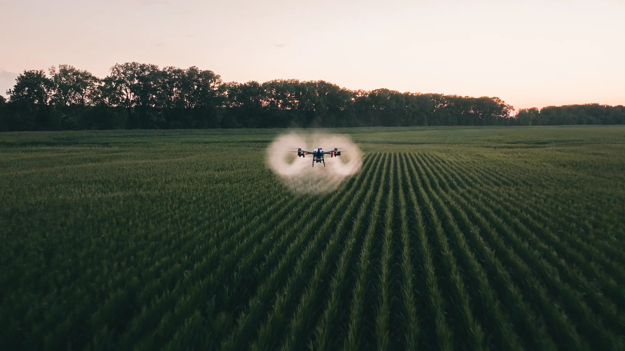 Agricultural spray drone applying product at low altitude over a Midwest corn field at sunset