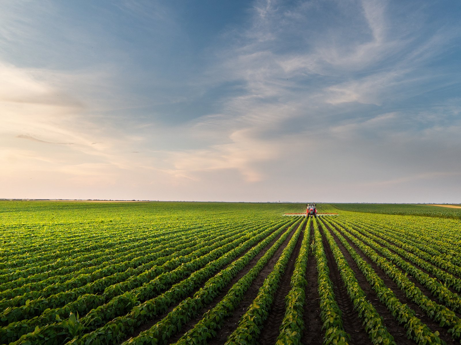 Tractor applying product across rows of soybeans in a Midwest row-crop field at golden hour