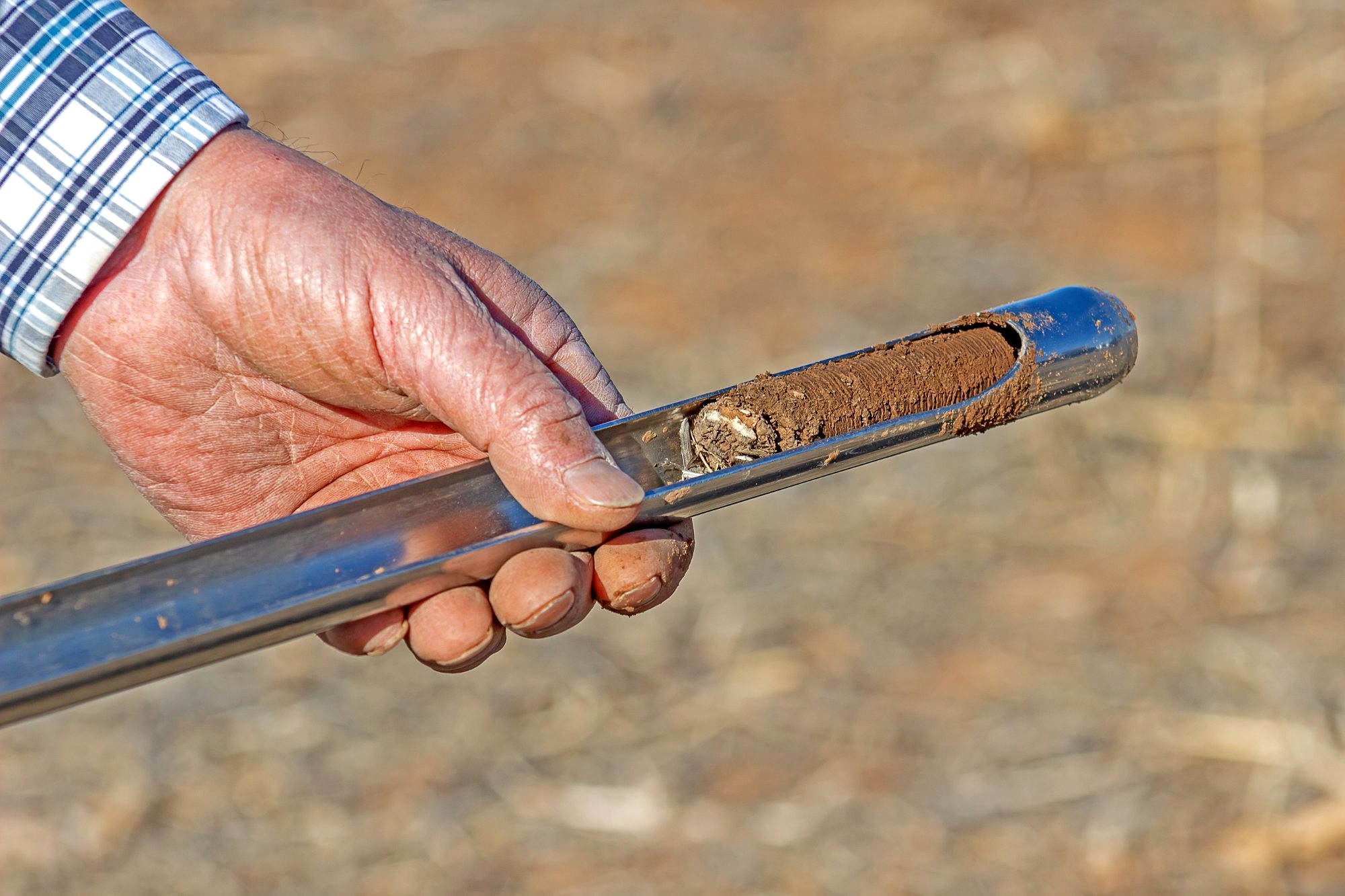 Hand holding a soil core sample in the field